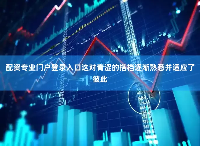 配资专业门户登录入口这对青涩的搭档逐渐熟悉并适应了彼此