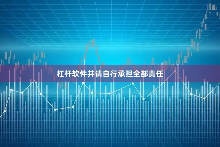 杠杆软件并请自行承担全部责任