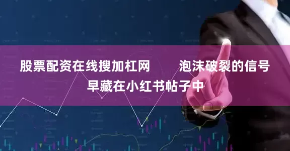 股票配资在线搜加杠网        泡沫破裂的信号早藏在小红书帖子中
