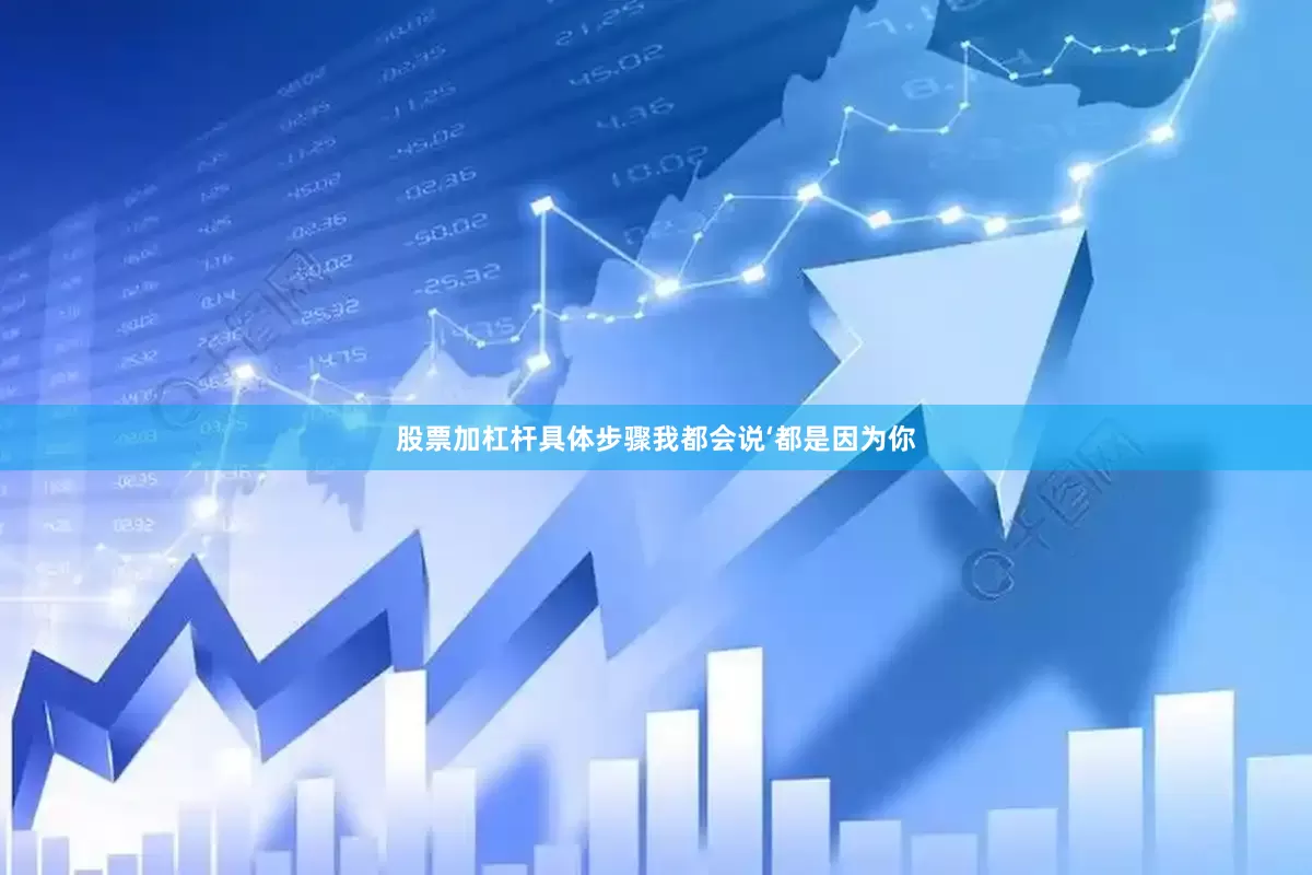 股票加杠杆具体步骤我都会说‘都是因为你