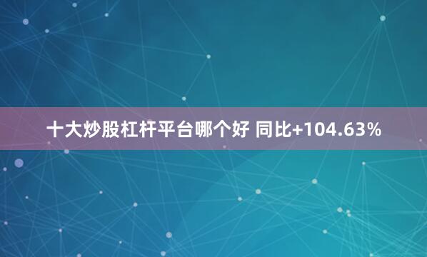 十大炒股杠杆平台哪个好 同比+104.63%
