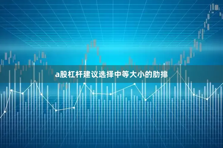 a股杠杆建议选择中等大小的肋排